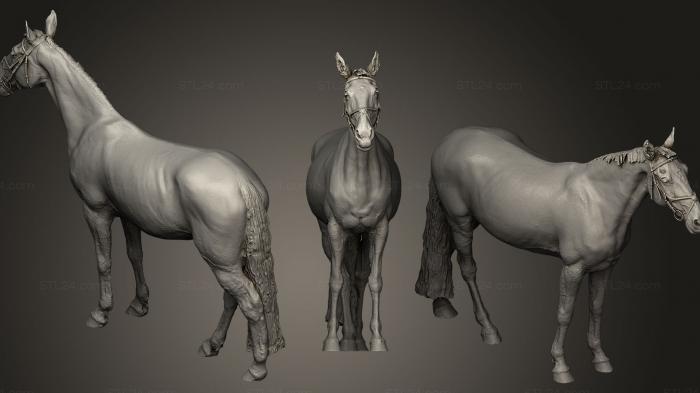 Статуэтки животных (Лошадь, STKJ_0317) 3D модель для ЧПУ станка